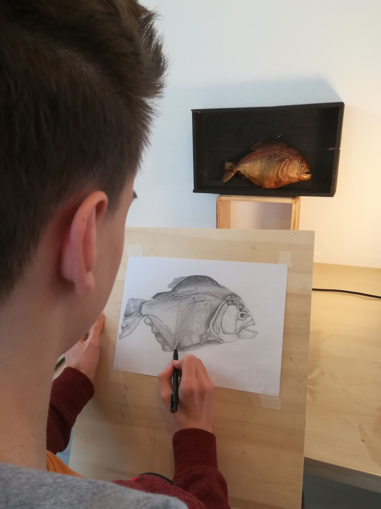 Wie zeichne ich einen Piranha
